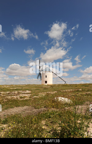 Mulino a vento sull orizzonte, fiori selvatici in primo piano, Campo de Criptana, Provincia Cuenca, Castilla la Mancha, in Spagna Foto Stock