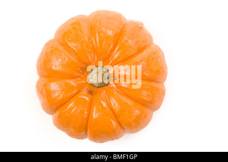 Arancione zucca close up shot Foto Stock