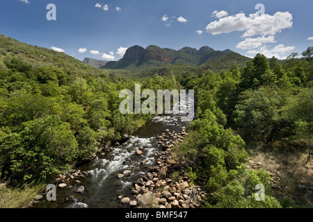 Verde e rigoglioso vista del Fiume Blyde Canyon in Mpumalanga , Sud Africa Foto Stock