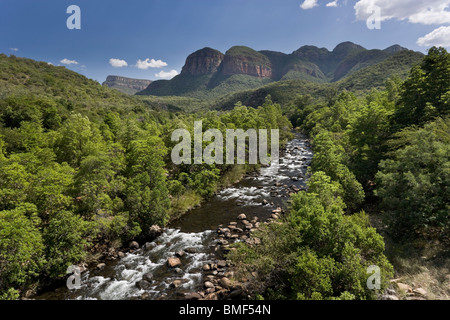 Verde e rigoglioso vista del Fiume Blyde Canyon in Mpumalanga , Sud Africa Foto Stock