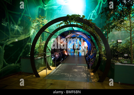 Sezione di Biologia entrata Nel Deutsches Museum, il Museumsinsel, Monaco di Baviera, Germania Foto Stock