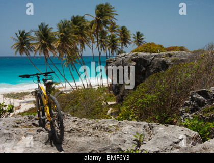 Alloggiamento inferiore, Barbados, mostrando una spiaggia isolata, azzurro mare, palme, con giallo bicicletta e rocce in primo piano Foto Stock