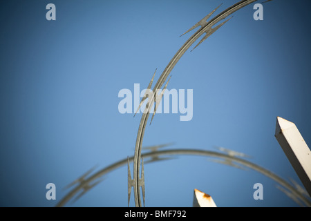 Filo spinato netting close up shot Foto Stock