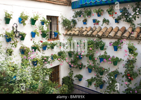 Cordoba, Andalusia. Patio annuale festival Foto Stock