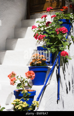 Cordoba, Andalusia. Patio annuale festival Foto Stock