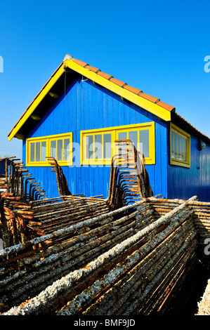 Oyster park, Oleron Island, Francia. Foto Stock