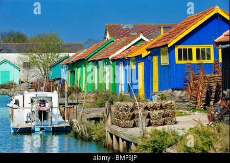 Oyster park, Oleron Island, Francia. Foto Stock