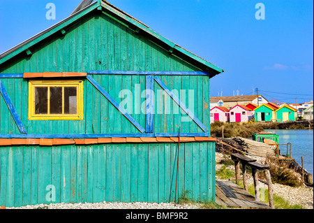 Oyster park, Oleron Island, Francia. Foto Stock