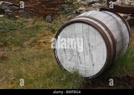 Ex stazione baleniera di Kekerten, barili, Frobisher Bay, Isola Baffin, Nunavut, Canada Foto Stock