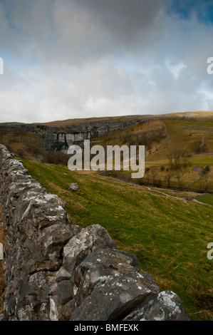 Malham Cove in Malhamdale nel Yorkshire Dales Foto Stock