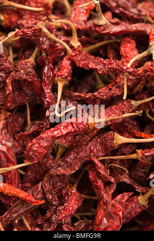 India Kerala, Calicut, Kozhikode, Halwa Bazaar, sacco di secchi peperoncino rosso sul display in grossista shop - dettaglio Foto Stock