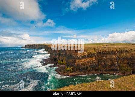 Le scogliere di Whitaloo Point presso la costa nord di Orkney continentale su un peperoncino, giornata di vento in primavera Foto Stock