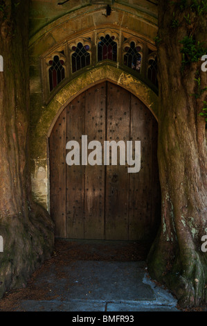 Antica yew gli alberi hanno ormai diventato inseparabile con la porta nord presso la chiesa di St Edward, Stow-su-il-Wold, Gloucestershire Foto Stock