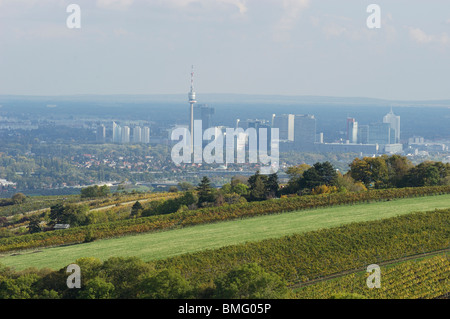 Si affaccia la Torre del Danubio, Danubio città di vigneti intorno a Vienna Foto Stock