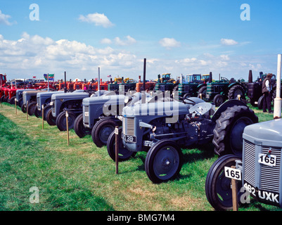 Linea di trattori Massey Ferguson fino Foto Stock