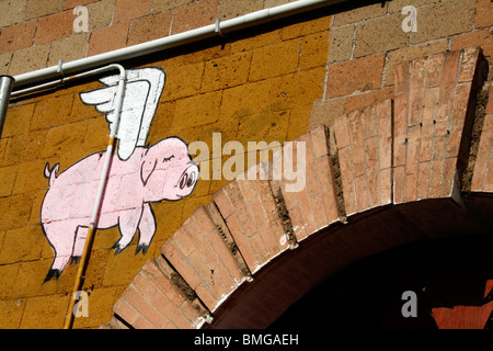 Flying Pig graffiti sul muro in roma italia Foto Stock