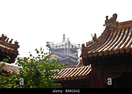 Vista dal palazzo di eterna primavera verso il Padiglione della pioggia di fiori, Città Proibita a Pechino, Cina Foto Stock