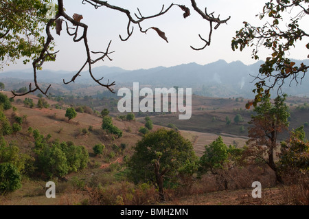 Myanmar. La Birmania. Lo Stato di Shan. Kalaw township. Foto Stock