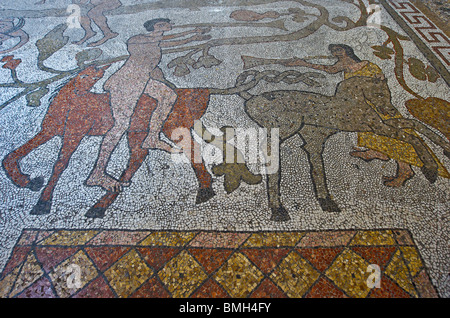 Puglia,Salento, Otranto, i mosaici del Duomo all'interno Foto Stock