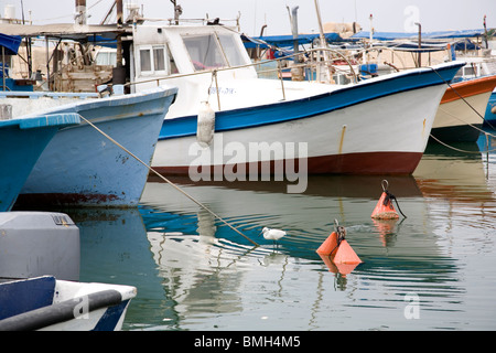 Vecchia Jaffa porto con barche, Garzetta in acqua - Tel Aviv - Israele Foto Stock