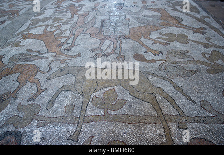 Puglia,Salento, Ostuni, i mosaici del Duomo all'interno Foto Stock