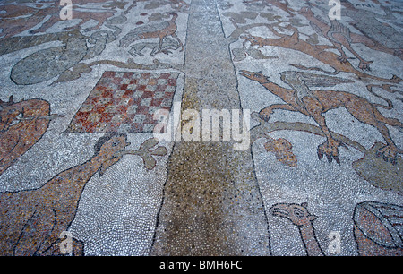 Puglia,Salento, Otranto, i mosaici del Duomo all'interno Foto Stock