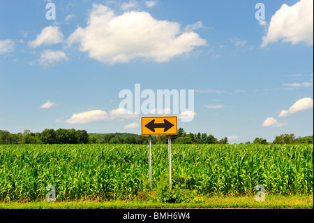 In che modo devo andare? Bizzarre due modo segno di freccia in cornfield blue sky cumulus nubi simbolo della decisione di effettuare una scelta, crocevia , scelte di vita. Foto Stock