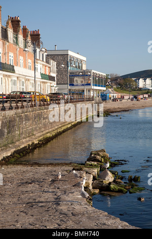 Il lungomare, il mare a parete, scivolo e pennelli di pietra a Swanage in la mattina di sole Foto Stock