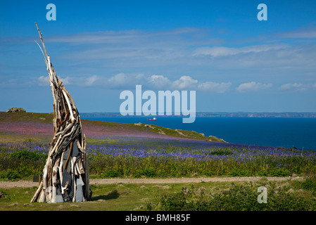 Isola di Skomer, Pembrokeshire, Galles Foto Stock