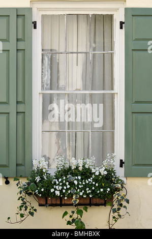 Dettagli della finestra, tapparelle e finestra con fiori sulla storica casa in Charleston, Carolina del Sud Foto Stock