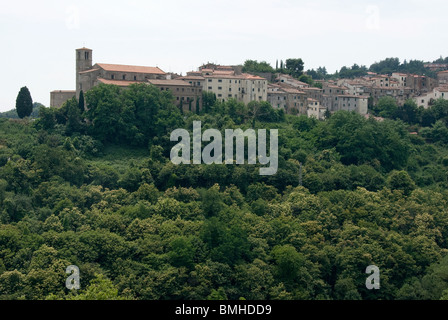 Scansano in Toscana provincia di Grosseto in una zona conosciuta come la Maremma Foto Stock