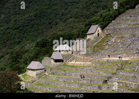 Il terrazzamento presso le antiche rovine Inca di Machu Picchu vicino a Cusco in Perù Foto Stock