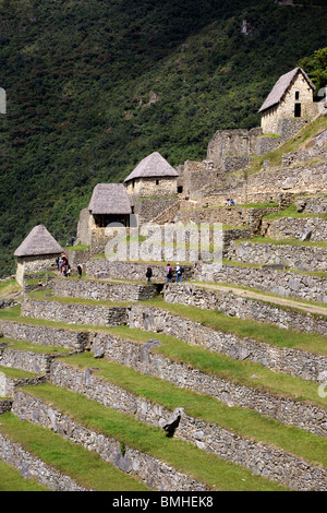 Il terrazzamento presso le antiche rovine Inca di Machu Picchu vicino a Cusco in Perù Foto Stock