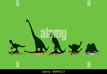 Tettuccio di colpo di alcuni dinosauri Foto Stock