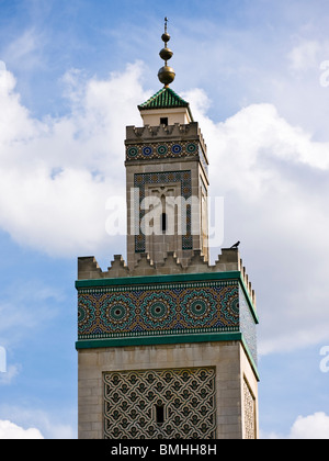 La Grande Moschea minareto, Parigi, Francia Foto Stock