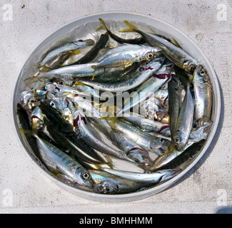 Istanbul Ristorante Terrazza barche Golden Horn ponte Galata waterfront torre a caldo di vendita pesce sgombro balik ekmek Eminonu Foto Stock