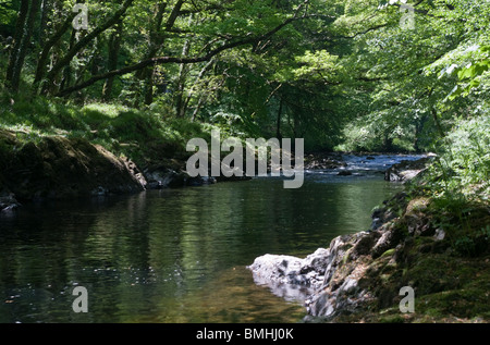 Il fiume Dart nel Parco Nazionale di Dartmoor. Foto Stock