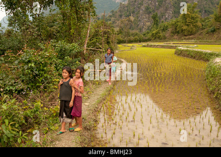 I bambini del villaggio gioco lungo i lati delle risaie in Vong Xai provincia del nord del Laos Foto Stock