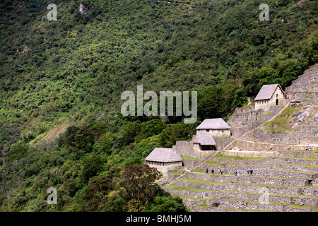 Il terrazzamento presso le antiche rovine Inca di Machu Picchu vicino a Cusco in Perù Foto Stock