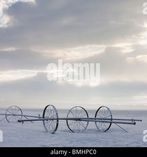 Impianti di irrigazione su una coperta di neve campo Foto Stock