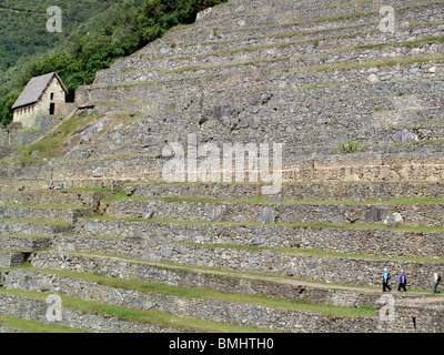 Il terrazzamento presso le antiche rovine Inca di Machu Picchu vicino a Cusco in Perù Foto Stock