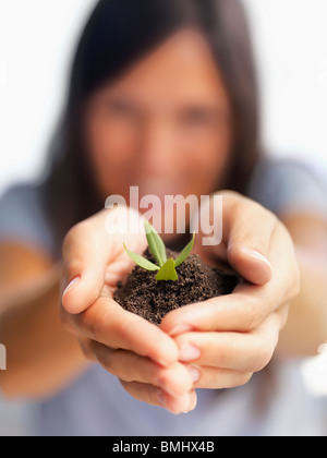 Alberello in mani Foto Stock