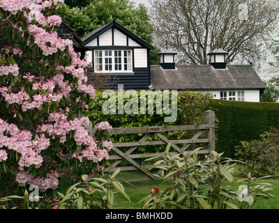 Un rododendro rosa accanto a cinque bar porta e country house Foto Stock