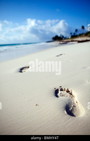 Orme nella sabbia a piedi verso il basso le immacolate spiagge di sabbia bianca su Gomito Cay nelle Bahamas. Foto Stock