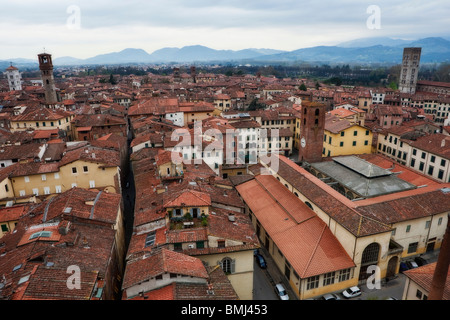 Vista di Lucca di tetti, tetti, Toscana, Italia, Europa Foto Stock