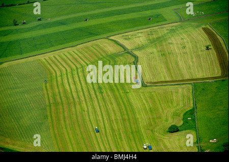 Harvesting Silage, Yorkshire Dales, nr Pately Bridge, North Yorkshire, Inghilterra del Nord Foto Stock