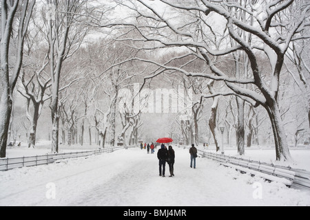 La gente camminare nel parco centrale in inverno Foto Stock