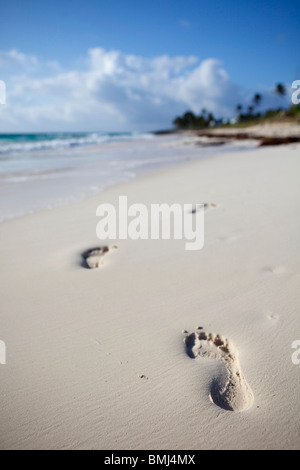 Orme nella sabbia a piedi verso il basso le immacolate spiagge di sabbia bianca su Gomito Cay nelle Bahamas. Foto Stock