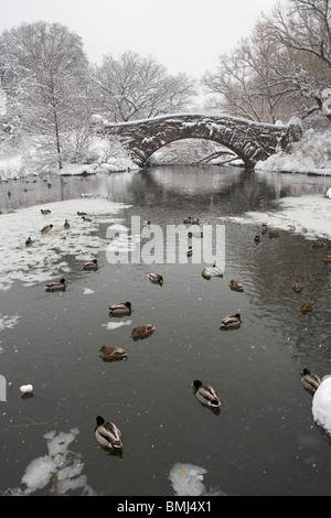 Il lago e il ponte in inverno Foto Stock