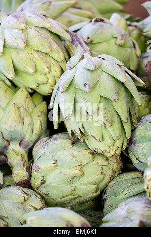 Carciofi Foto Stock